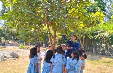 Mengenal Bagian-Bagian Tumbuhan Bersama Anak Kelas Tumbuh 2 di TK Rumahku Tumbuh