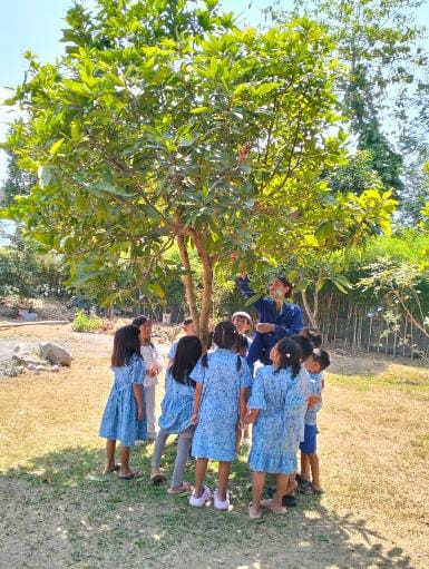 Mengenal Bagian-Bagian Tumbuhan Bersama Anak Kelas Tumbuh 2 di TK Rumahku Tumbuh